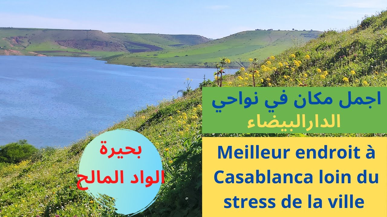 Oued Elmaleh Casablanca  بحيرة سد الواد المالح اجمل مكان في الدارالبيضاء