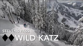 Wild Katz @ Stevens Pass