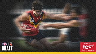 Watch the best of new Tiger Sam Cumming