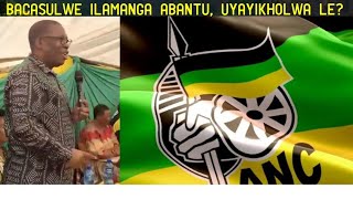 Sizithintele uqandu qandu sikhankasa ngamanga aluhlaza isikhulu se ANC zizwele uyasikholwa wena