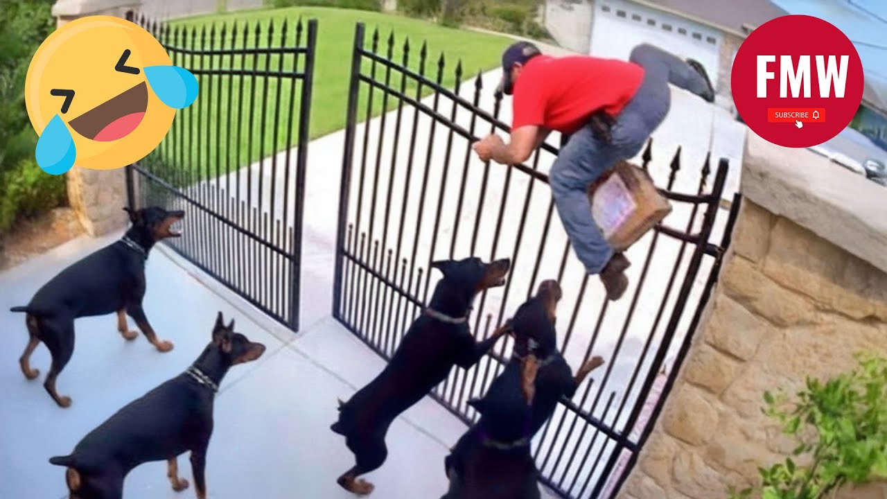 Try Not To Laugh 🤣 Top 100 Funniest Videos Ever 😂 | Funny Videos Compilation 2025 #12