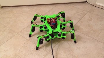 Hexapod Robot v1.0 Walking