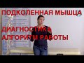 ПОДКОЛЕННАЯ МЫШЦА//АЛГОРИТМ РАБОТЫ С НЕЙ// ПРИКЛАДНАЯ КИНЕЗИОЛОГИЯ //ИКПК