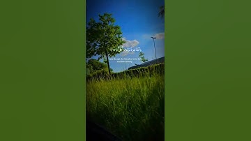 تلاوة عطرة لآيات من كتاب الله #القرآن_الكريم #القرآن #المصحف #coran #quran #foryou #viral