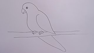 how to draw parrot drawing easy and very simple drawing@DrawingTalent