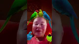 Download Lagu Lieve tante An. MP3