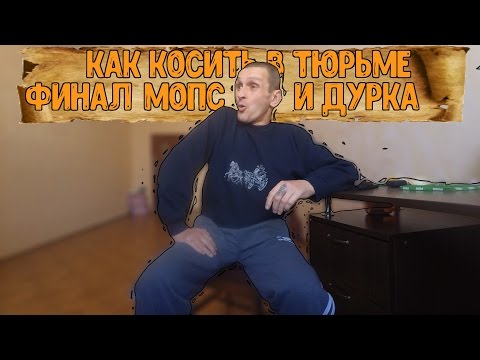 Мопс заехал в психушку | Как откосить в тюрьме. Лайфхак номер 5 Финал