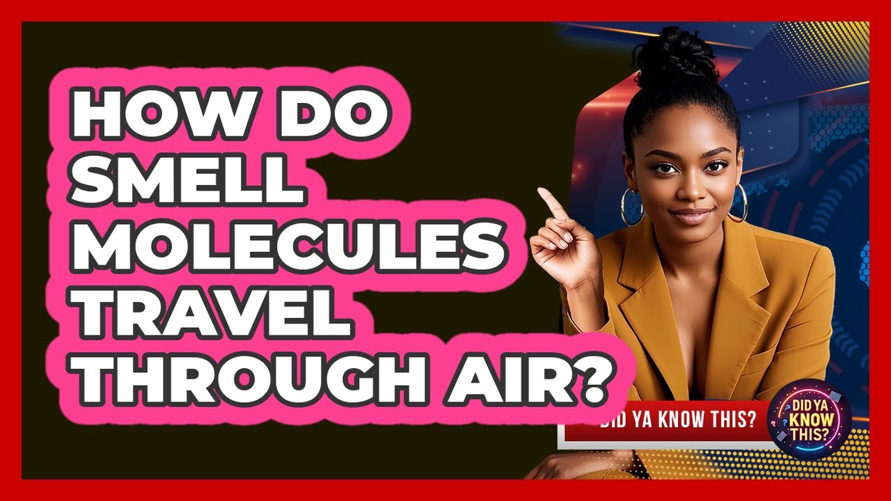 How Do Smell Molecules Travel Through Air?