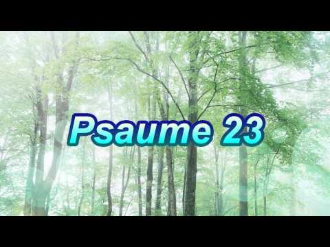 Psaume 23