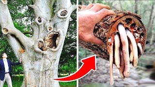 CREEPY Trees You Should NEVER Touch