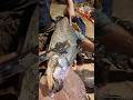 Kural Fish Cutting 🔥 Satisfying Knife Skills #shorts