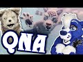Mouth Mover heads, name copying, & swimming fursuits! [Q&A #30]