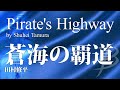 蒼海の覇道／田村修平 Pirate’s Highway by Shuhei Tamura