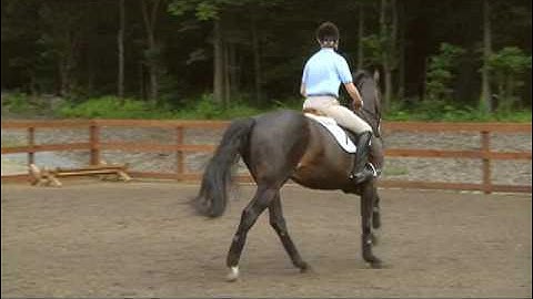 How To Execute A Simple Lead Change