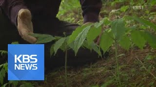 침체의 농촌, ‘6차 산업’으로 활기