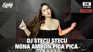 DJ STECU STECU X NONA AMBON PICA PICA REMIX FULL BASS VIRAL TIKTOK TERBARU 2025 ( DJ BIDDY NEW)