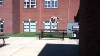 Frontflip off bench