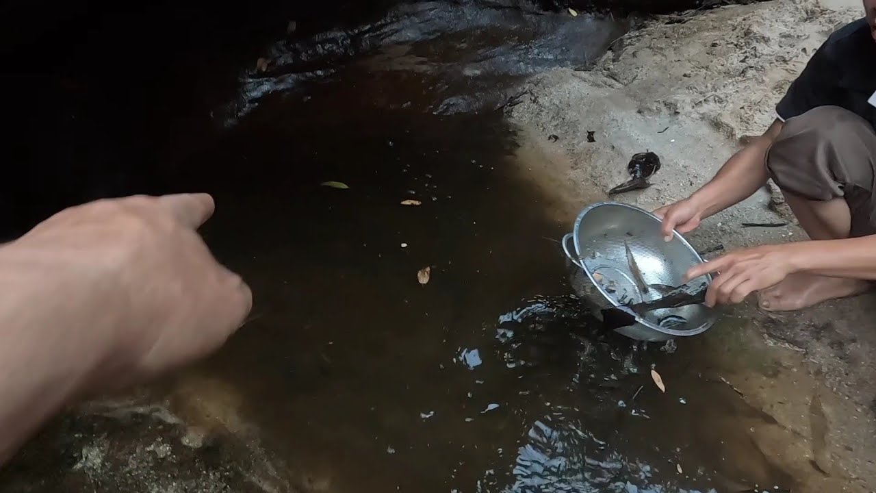 สูบปลาตามอ่างหิน 8 กุมภาพันธ์ ค.ศ. 2026