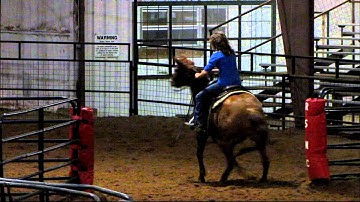 Hickorys Peppy Dun - 2/6/13 sorting practice 1 - Valley View Ranch