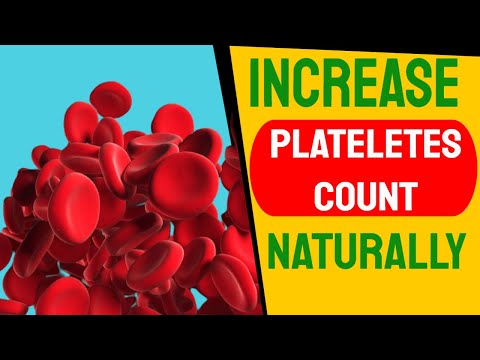 15 Foods That Increase  Platelets Count Naturally