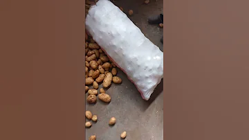 بطاطس اسبونتا 