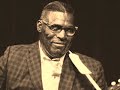 Howlin Wolf What A Woman The London Howlin Wolf Sessions mp3