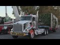 Arrival of the Old Sacramento Christmas tree