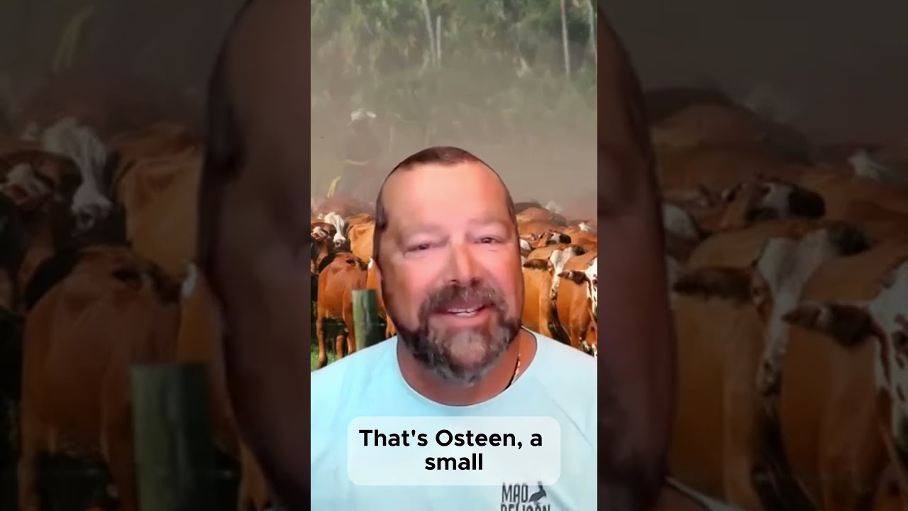 Osteen: Florida's Cowboy Ranch