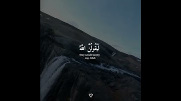 ولئن سألتهم من نزل من السماء ماء...) اسلام صبحي #قرءان كريم #تلاوة_خاشعة
