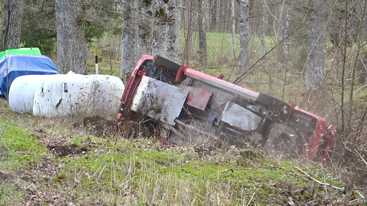 Lindekröken 2024 - Trädsmäll, avåkning & Action
