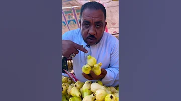 عويس ولا صدر الحمامه 