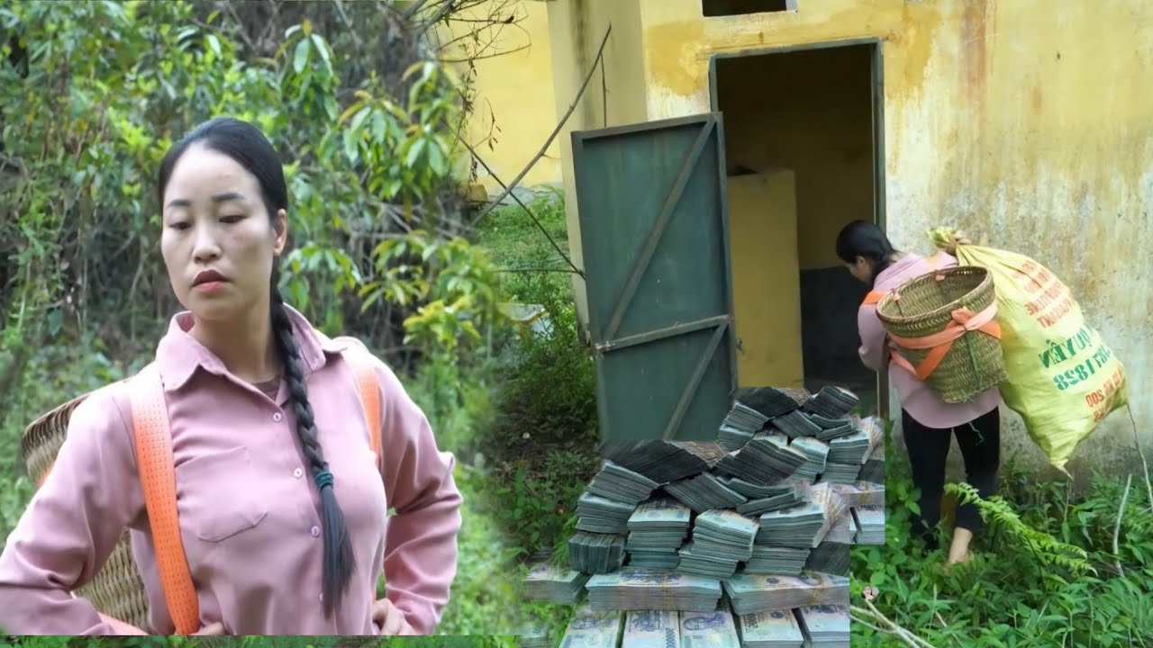 Found a lot of money in the landfill - Dang Luu