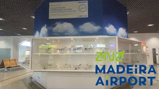 Madeira's PRIVATE Model Airplane Collection