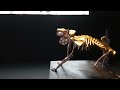 @betogatti mostra "A Origem" curador  @alexandre.murucci