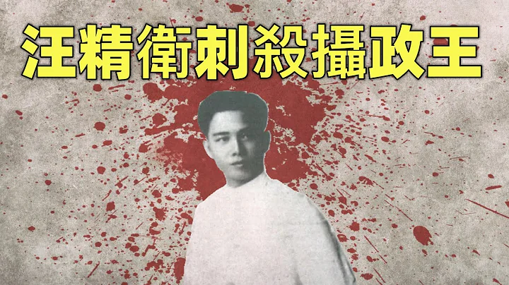 汪精卫刺杀摄政王 | 聊聊革命党的暗杀事业 - 天天要闻