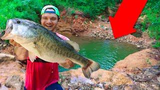 MASSIVE BASS Caught In TINY PUDDLE!! (spillway monster)