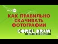 КАК  СКАЧАТЬ КАРТИНКИ ДЛЯ МАКЕТА. ПОЛЕЗНЫЙ СОВЕТ. Corel DRAW. КОРЕЛ. Уроки для начинающих.