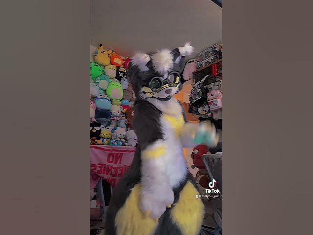 BLEP #furry #tiktok #furries #fursuit #halloween #trending