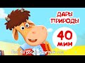 Бурёнка Даша. Дары природы. Сборник песен для детей