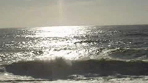 Banda catedral - Não vou te esquecer