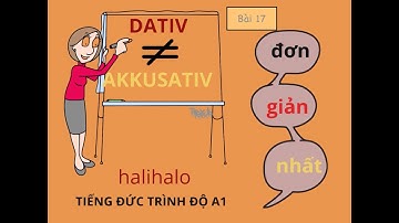 Tiếng Đức A1 | GIỚI TỪ | NGỮ PHÁP DATIV AKKUSATIV