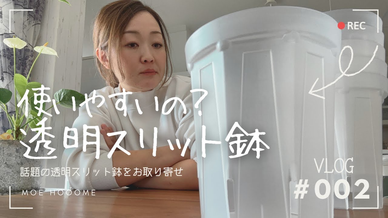 【透明スリット鉢】透明って実際どうなの〜?! モンステラの植替え（Vlog/002）