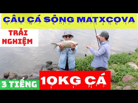 Video: Cách Kiếm Tiền Khi Câu Cá ở Nga