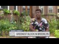 Brooklyn’s Greenest Block