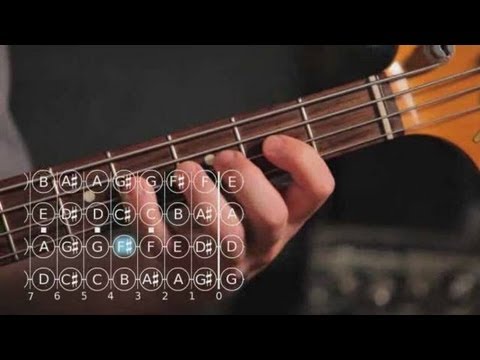 how-to-play-g-♯-/-a-flat-minor-scale-|-bass-guitar