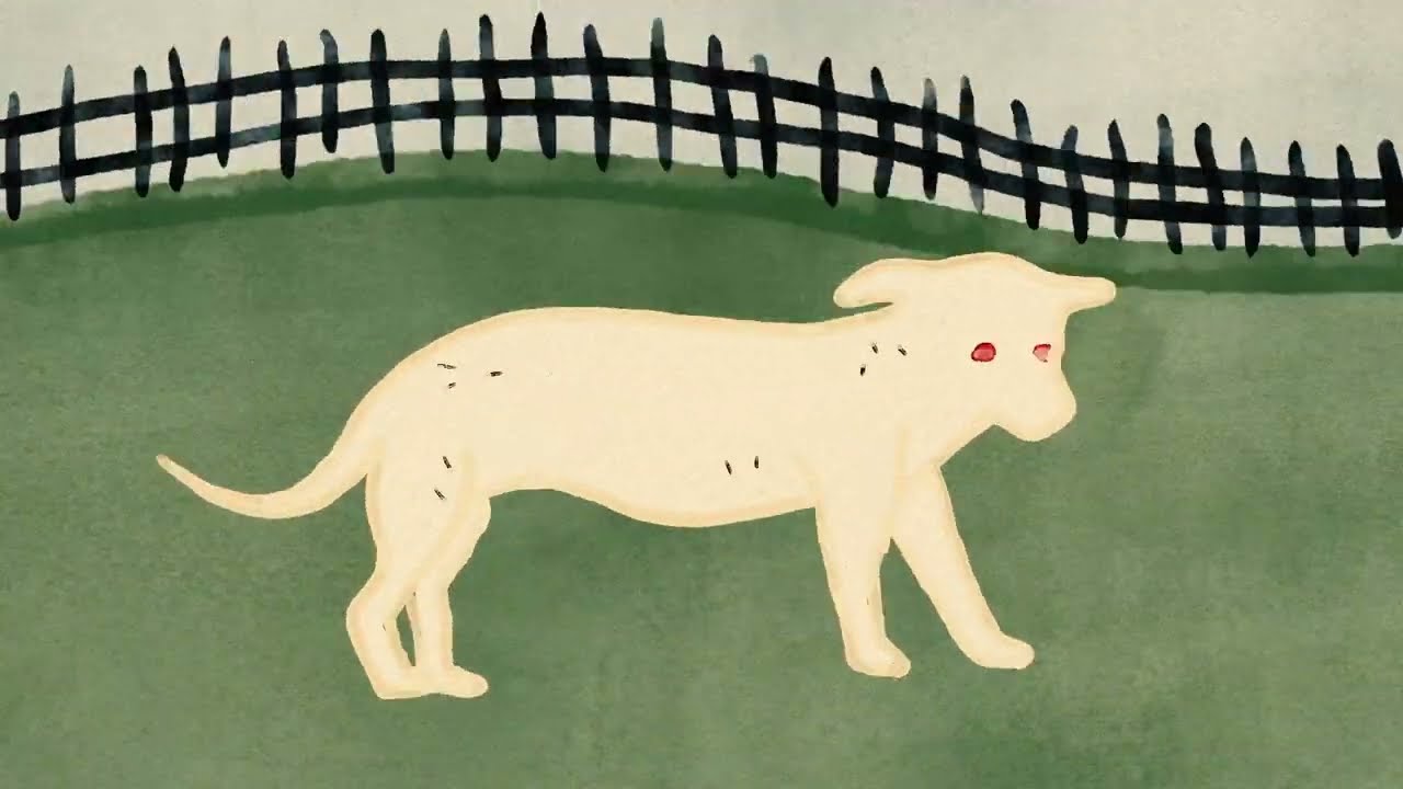 Joyer - Softer Skin (Music Video)