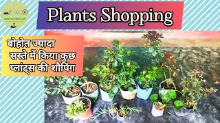 Plants Shopping India | Cheapest Plants Shopping | Plants Haul by Krishyel's Green Life 215 views 2 months ago 5 minutes, 5 seconds