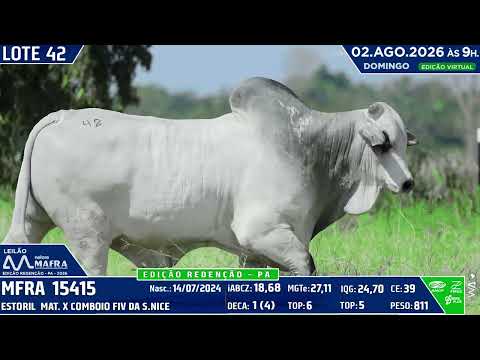 LOTE 42