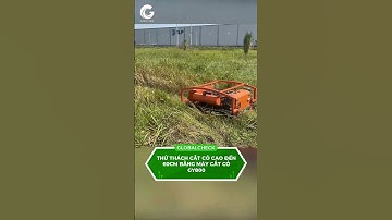 Thử thách cắt cỏ cao đến 60cm bằng máy cắt cỏ GY800  #globalcheck #farming #maycatco