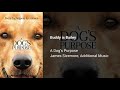 A Dogs Purpose  - Buddy is Bailey